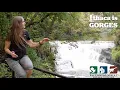 Ithaca is Gorges Fall Creek
