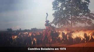 fatos e fotos da hist ria de s o jos dos quatro marcos