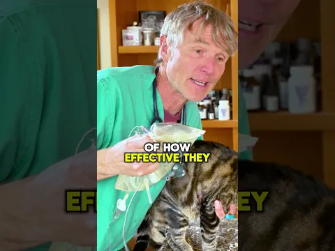 The ONE Treatment I Vet Would Take Anywhere