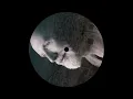Download Lagu Dino Merlin - Kad si rekla da me volis (Benjamin Milic Edit)