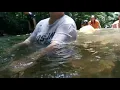 Download Lagu ikan duyung mandi di sungai