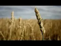 Balmorhea - Bowsprit