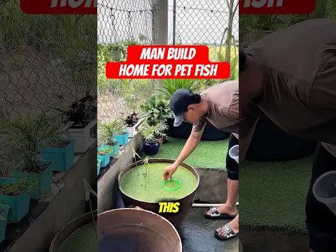 Man Builts Home For Pet Fish!😍 #shorts