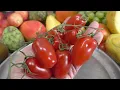Plum Tomatoes