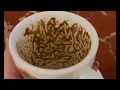Capricorn When Nothing Makes Sense Watch This Coffee Cup Reading