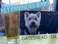 DOG FRIENDLY bars GATESHEAD North East Drinking Dens