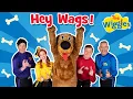 Lagu Hey Wags! 🐶 The Wiggles and Wags the Dog