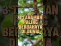 Download Lagu 3 TANAMAN PALING BERBAHAYA DI DUNIA #shorts