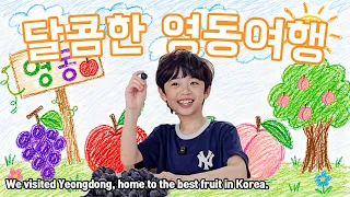 [일상VLOG #84] 로운이의 달콤한 여행! (feat.영동)
