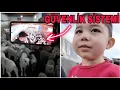 TÜM ÇİFTLİGE GÜVENLİK SİSTEMİ..İŞLER KARIŞTI