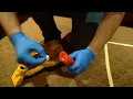 ERMI Testing Kit Tutorial