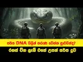 සර්ප DNA වලින් තරුණ වෙන්න පුළුවන්ද?  | රහස් චීන ලැබ් එකේ උපන් සර්ප දූව