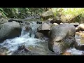 Download Lagu suara dan kesejukan sebuah sungai kecil di sebuah desa yang sangat cocok untuk menenangkan otak