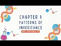 Chapter 9 - Patterns of Inheritance