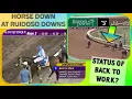 Back to Work MOST LIKELY DEAD Ruidoso Downs Race Track 7 30 23