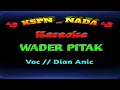 Download Lagu WADER PITAK ( Karaoke ) voc// DIAN ANIC