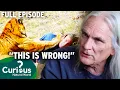 Download Lagu The Complex World of EXOTIC PET OWNERSHIP: Dangers \u0026 Stories | Full Episodes|Curious?: Natural World
