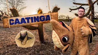 Caatinga | Biomas do Brasil | Ep.6