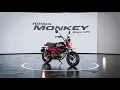 Download Lagu 2026 Honda Monkey Baja 125 Finally Revealed – The Fun Sized Baja Legend Returns!