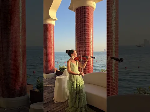 Ana Laura Violin , bild 2