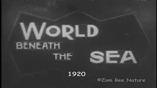 early documentary