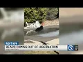 Bears coming out of hibernation in Connecticut
