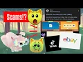 6 scams to look out for in Animal Jam