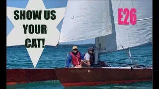 Show Us Your Cat! Episode 26 France and USA