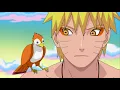 Download Lagu Naruto Has Become A Sage, Surpassing Jiraiya Sensei, Naruto cried when he saw Jiraiya's picture