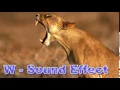 Download Lagu Animals Puma Sound Effects