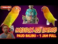Download Lagu Masteran Asli Lovebird Balibu paud || Durasi 1jam 20 menit