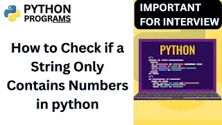 How to Check if a String Only Contains Numbers in python python coding Exercise