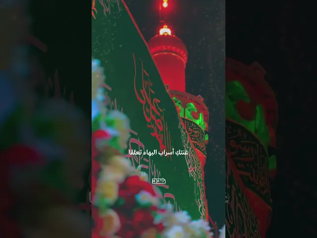 ⁣زهراء يا أُنس الوجود✨ #السيدة_فاطمة_الزهراء  #ولادة  #مناسبة  #أنشودة  #مولد