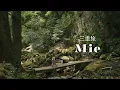 Lagu Moss Forest \u0026 Waterfalls Near Osaka \u0026 Nara 🌿 Day Trip to Akame 48 Waterfalls, Mie
