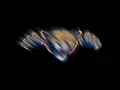 Willy William Mi Gente (Dillon Francis Remix)