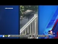 Moose wanders into Utah backyard