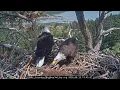 8-13-2026 New Visitor and Online Shop Update