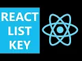 ReactJs Tutorial 20 What is Lists Keys FindIndex