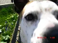 Jeder 2te linkt dich!!!  STKmix Blumentopfcover
