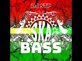 Download Lagu SKA N BASS VOL  2 ALBUM MIX BY DJ STP