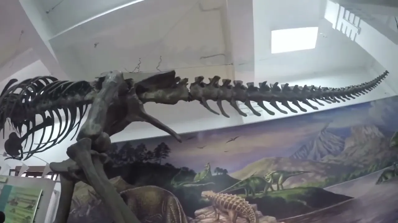 Jelajah Koleksi Museum Geologi Bandung #Pkl2018 #GeoUnsil16