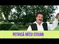 Download Lagu Petrică Stoian Mâţu - Frunza verde margarit