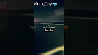 قرعة ويسكي شيشة بالي تصميم فيديوهات شاشة سوداء ماله حل الشعب الصيني 