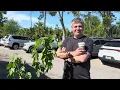 Jacksonville s Largest Flea and Farmers Market