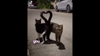 You And Me Always Forever 