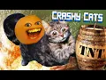 KITTEN DESTRUCTION MAYHEM Crashy Cats