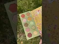 Download Lagu Winnie The Pooh and ColourPop palette is BACK! 🍯