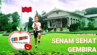 Download --Senam Sehat Gembira --GERAK \u0026 LAGU ANAK PLAYGROUP/ PAUD/ TK/ SD MP3