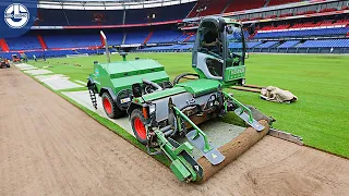 from seed to stadium the insane process how soccer grass is made