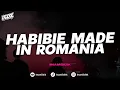 Download Lagu DJ HABIBIE MADE IN KARAWANG - BOOTLEG (imamsidik) SOUND VIRAL FYP TIKTOK 2025!!